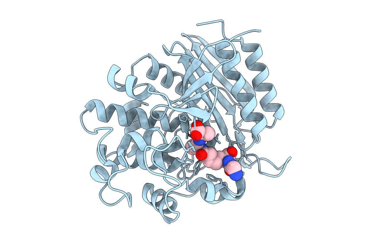 1IKG image
