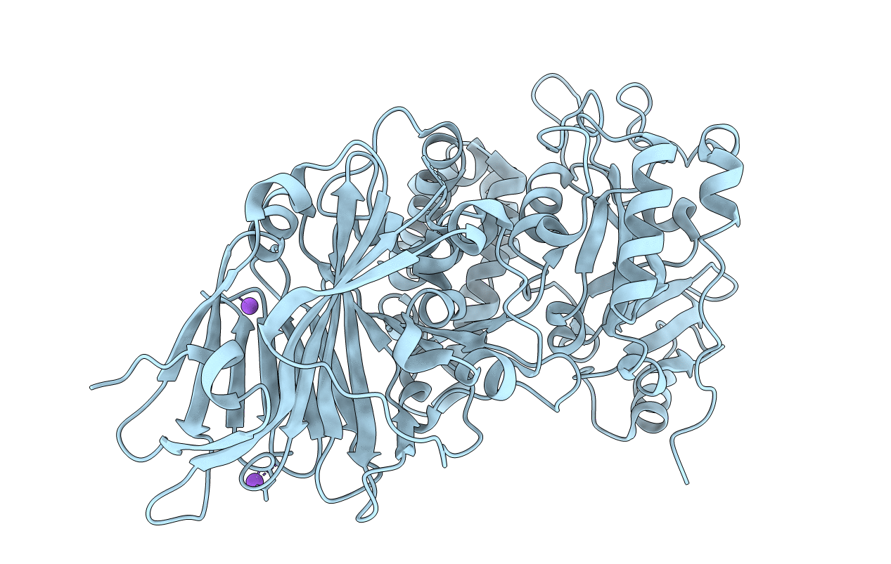 1IKQ image