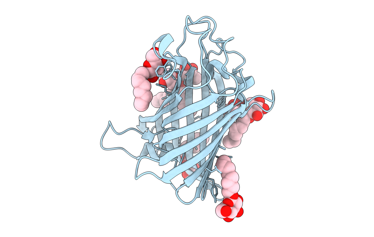 1ILD image