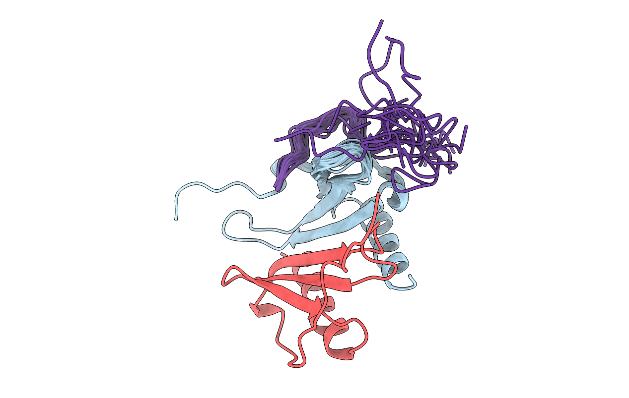 1ILP image