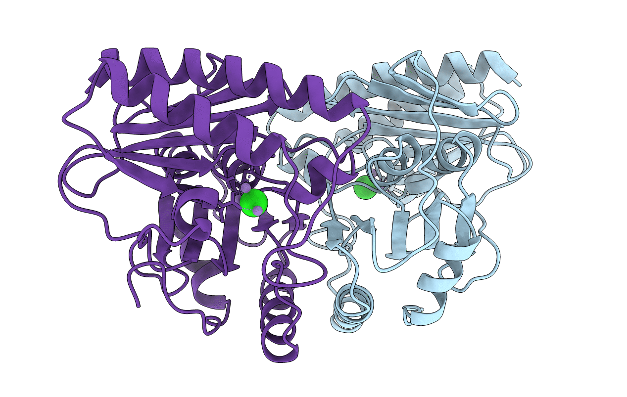 1IMC image