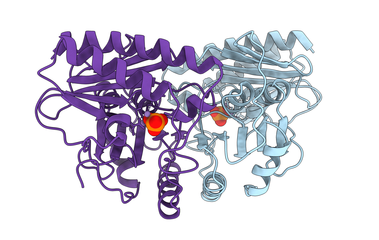 1IMD image