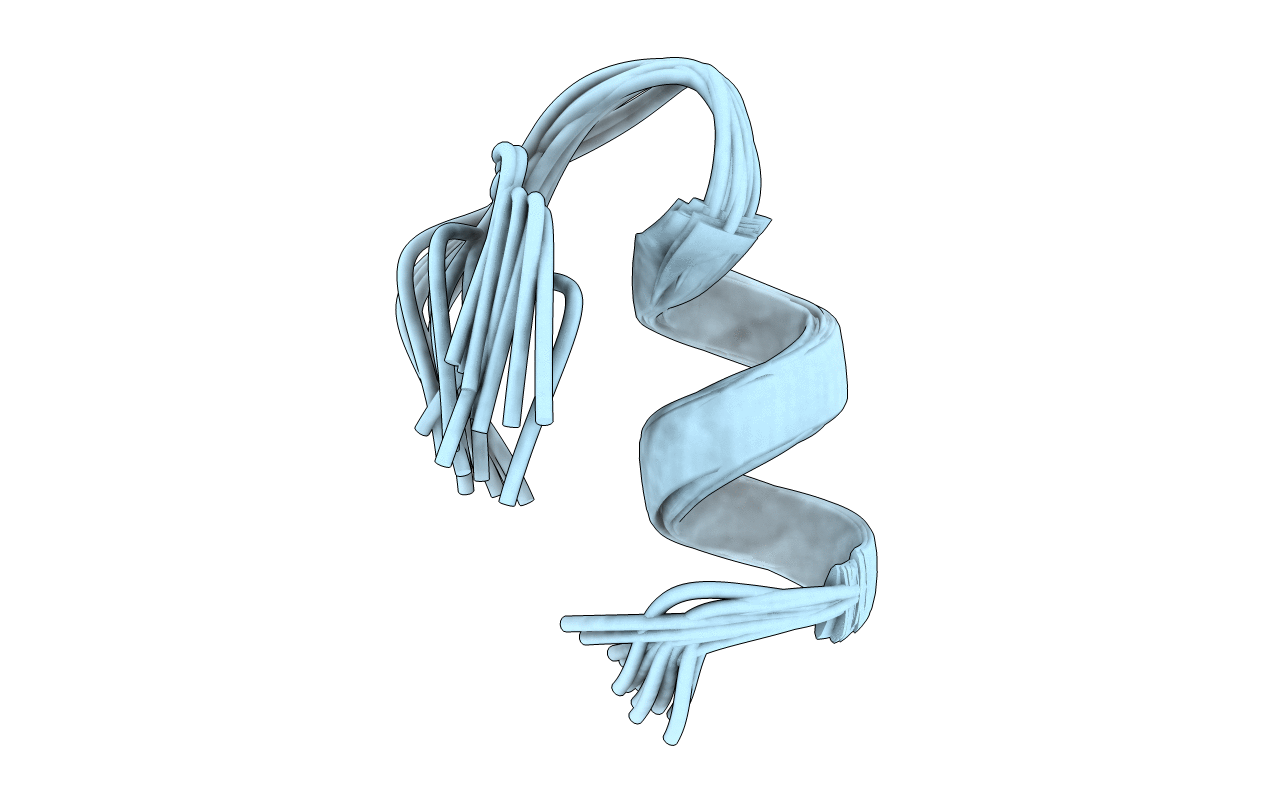 1IMW image