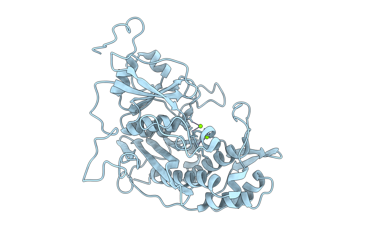 1INP image