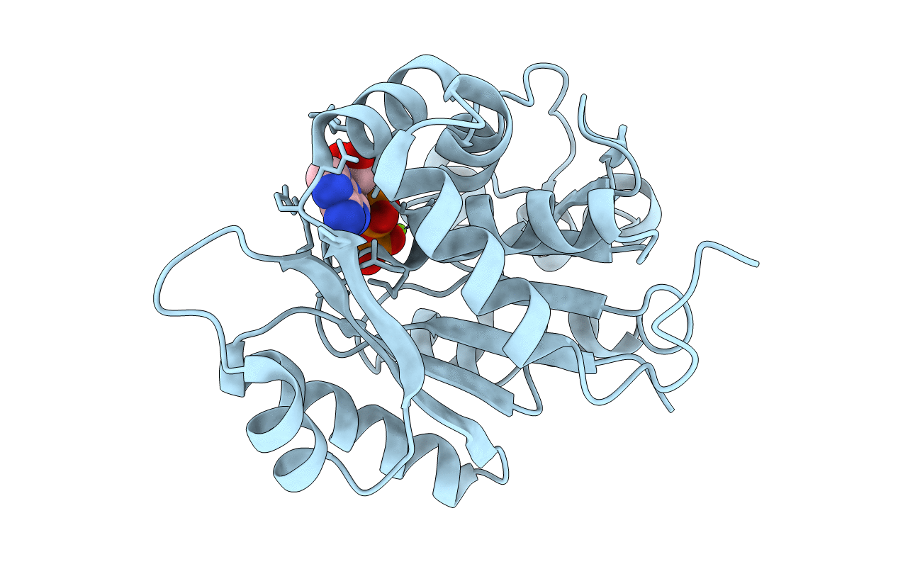 1ION image
