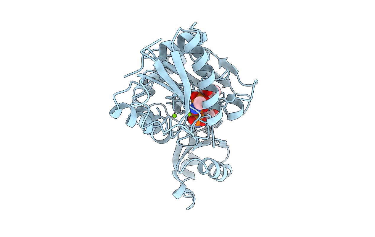 1IOV image