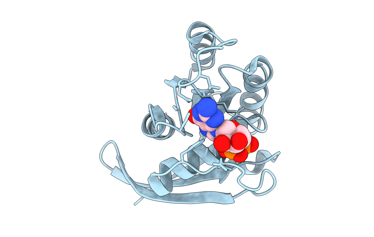 1IOZ image