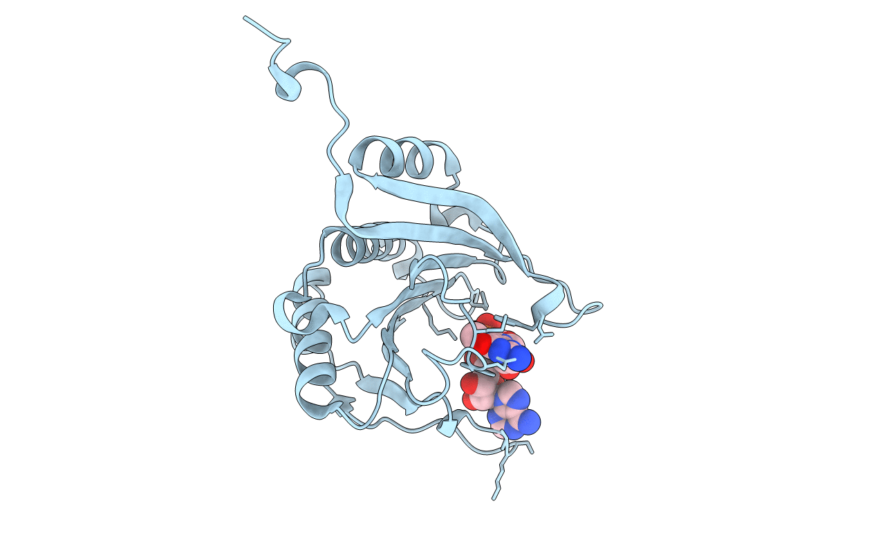 1IPB image