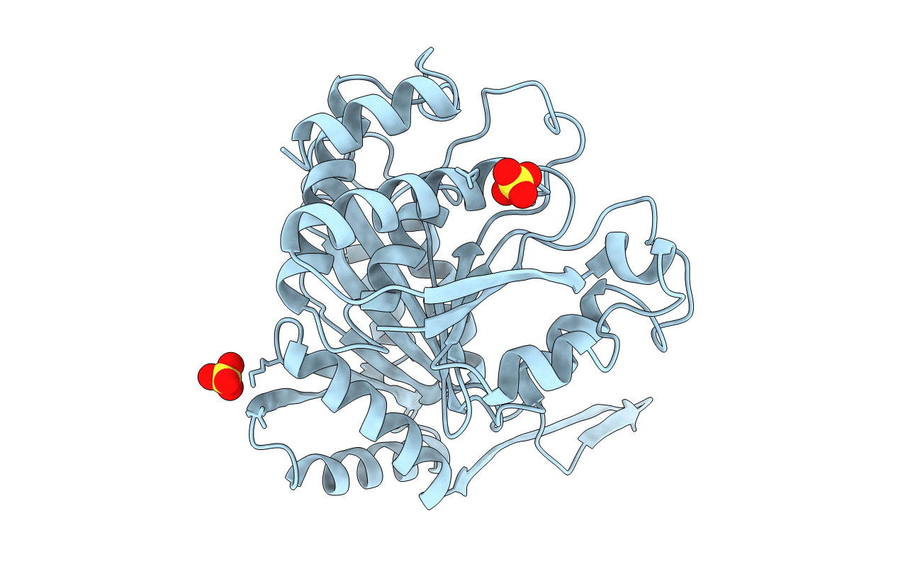 1IPD image