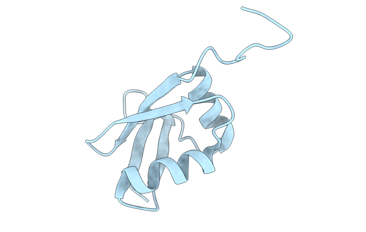 1IPG image