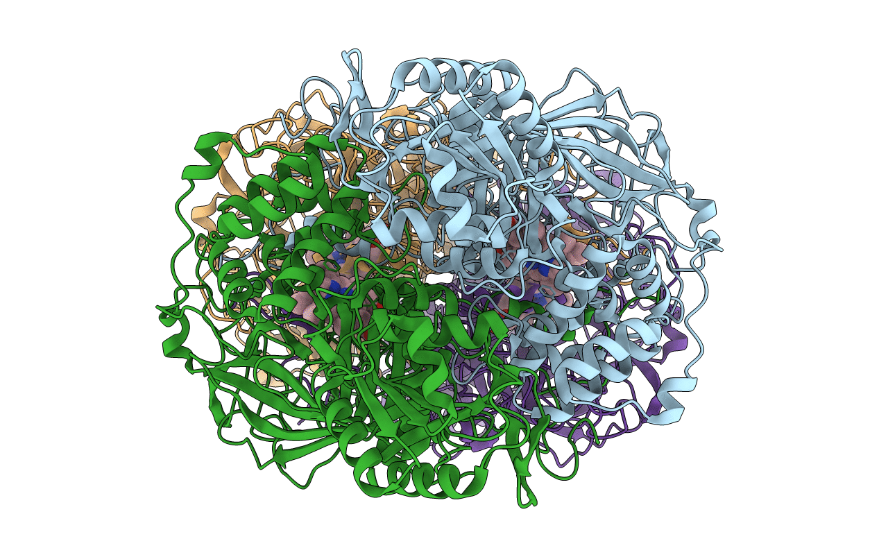 1IPH image