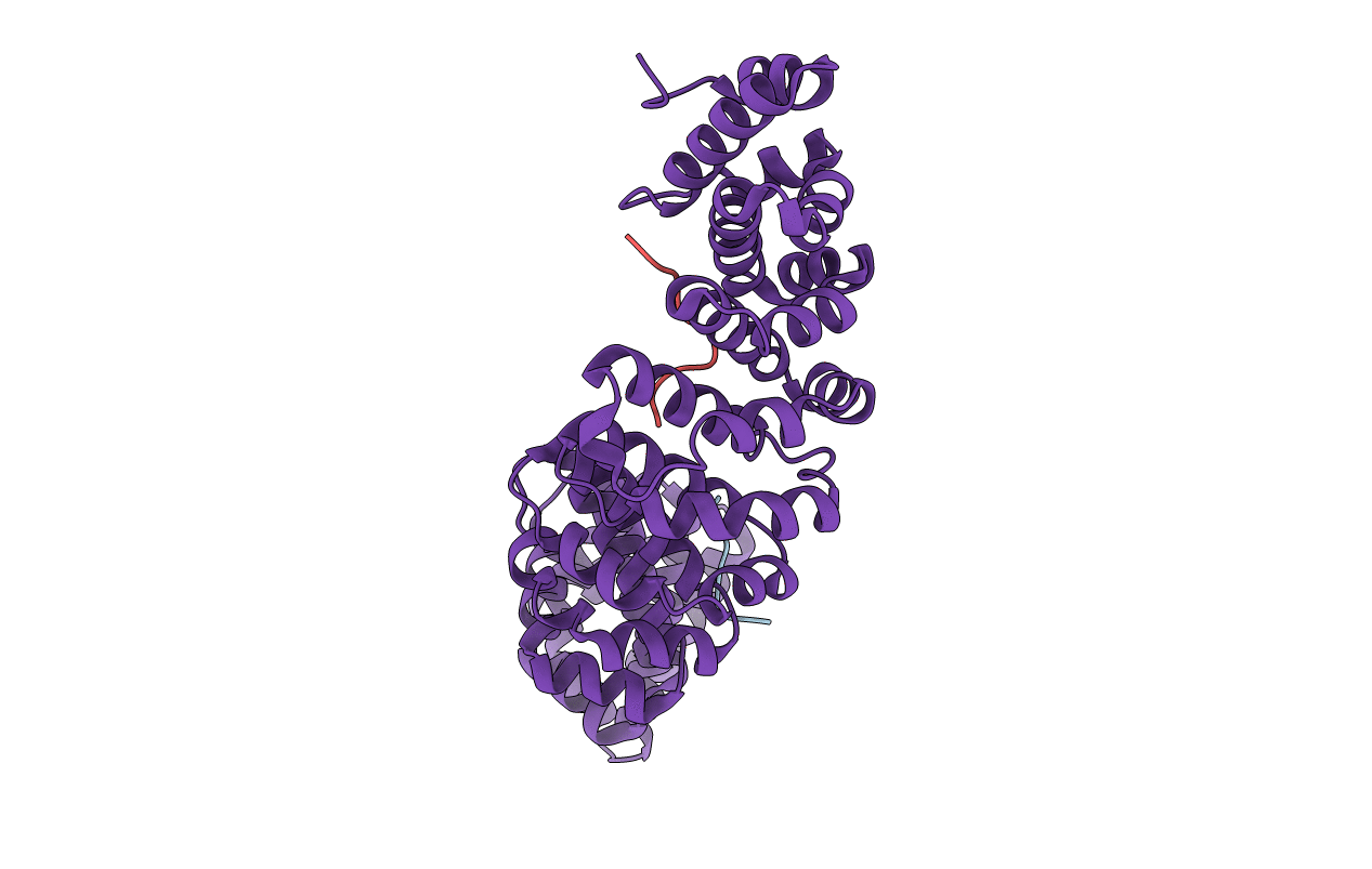 1IQ1 image