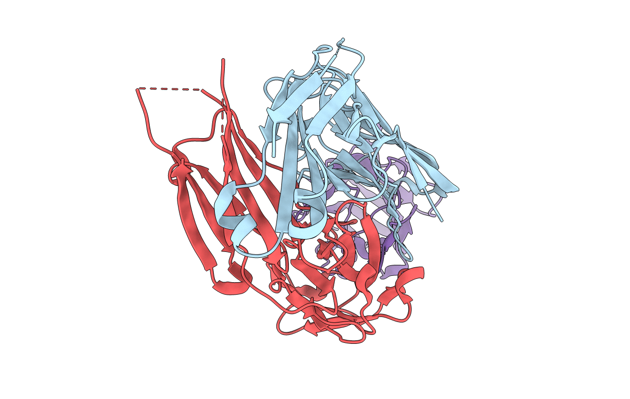 1IQD image