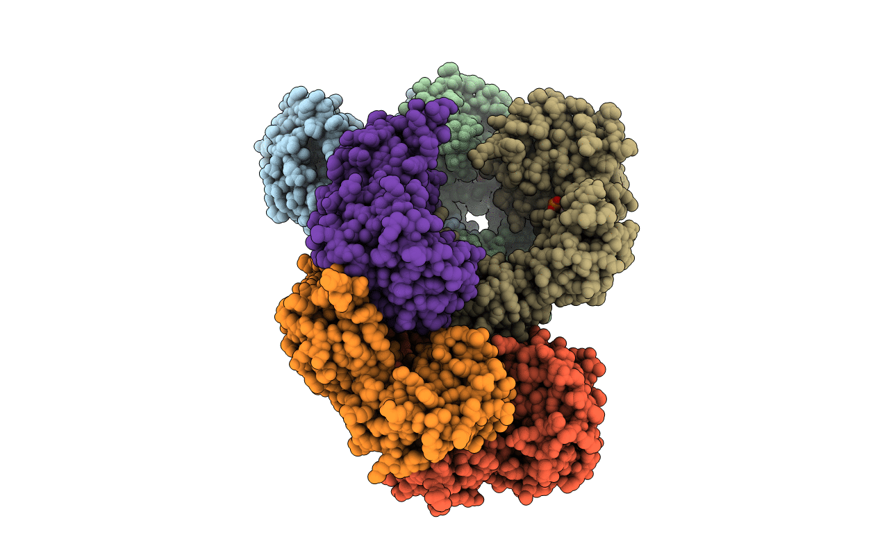 1IQP image