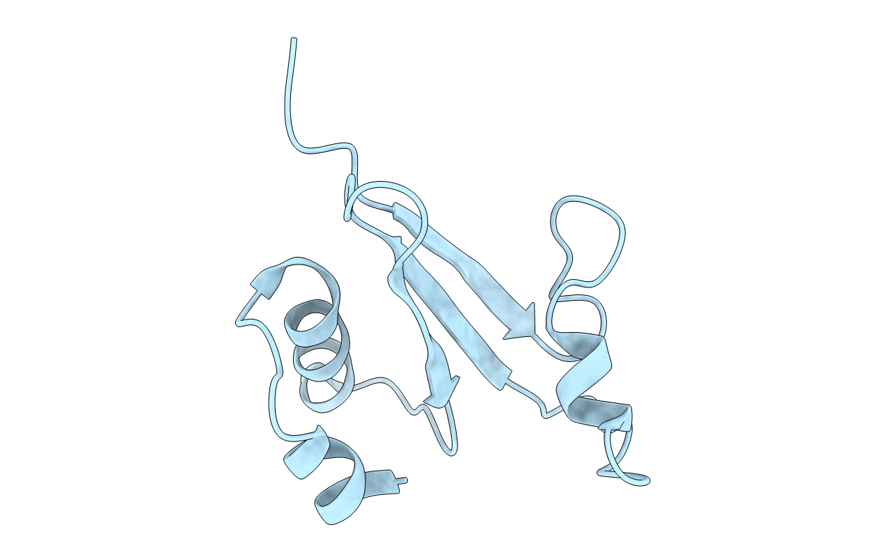 1IQS image