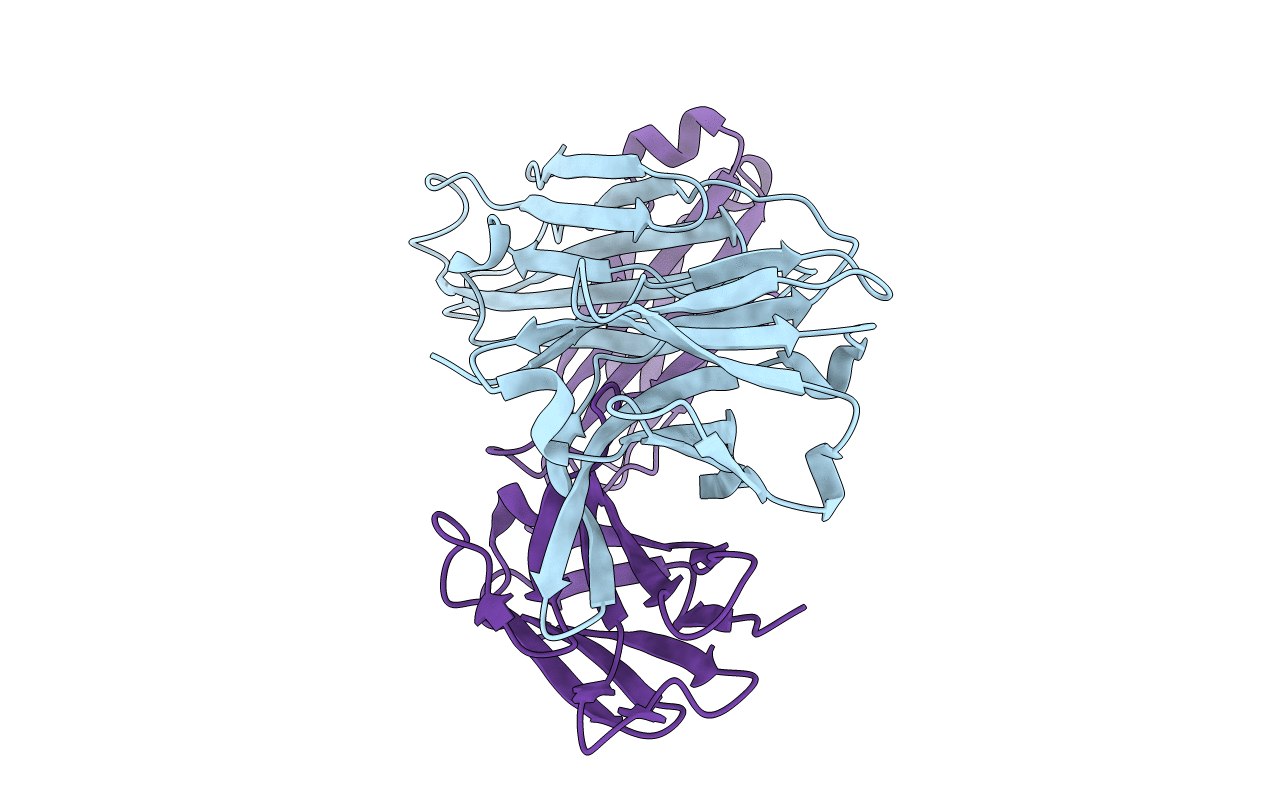 1IQW image