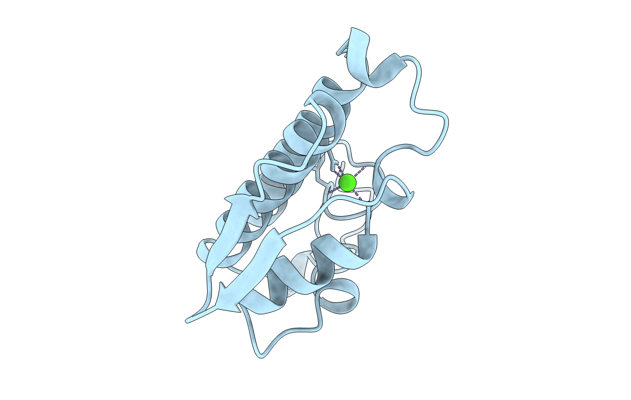 1IRB image