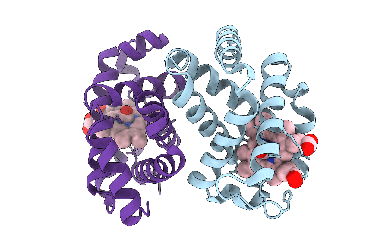 1IRD image