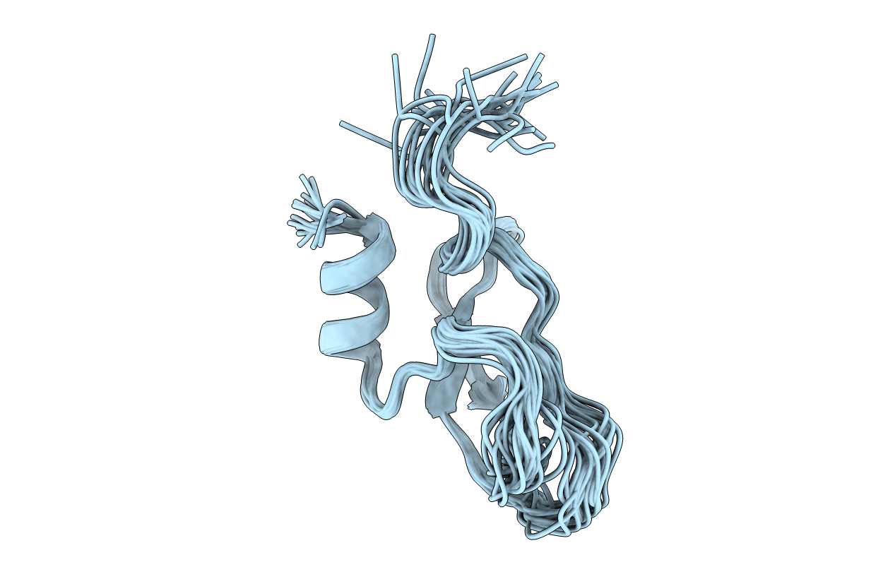 1IRH image