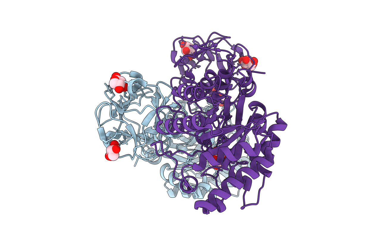 1ISV image