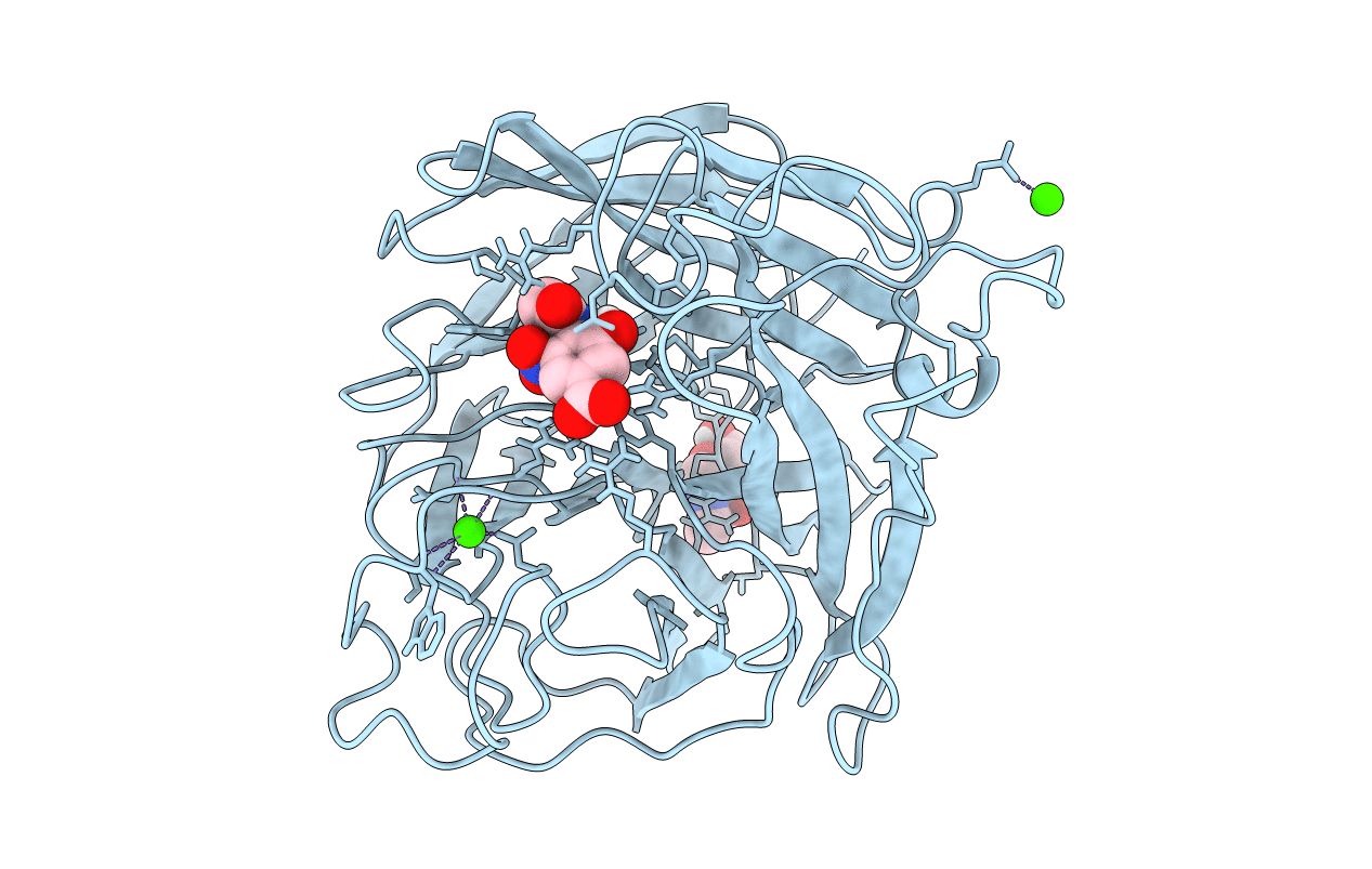 1IVB image