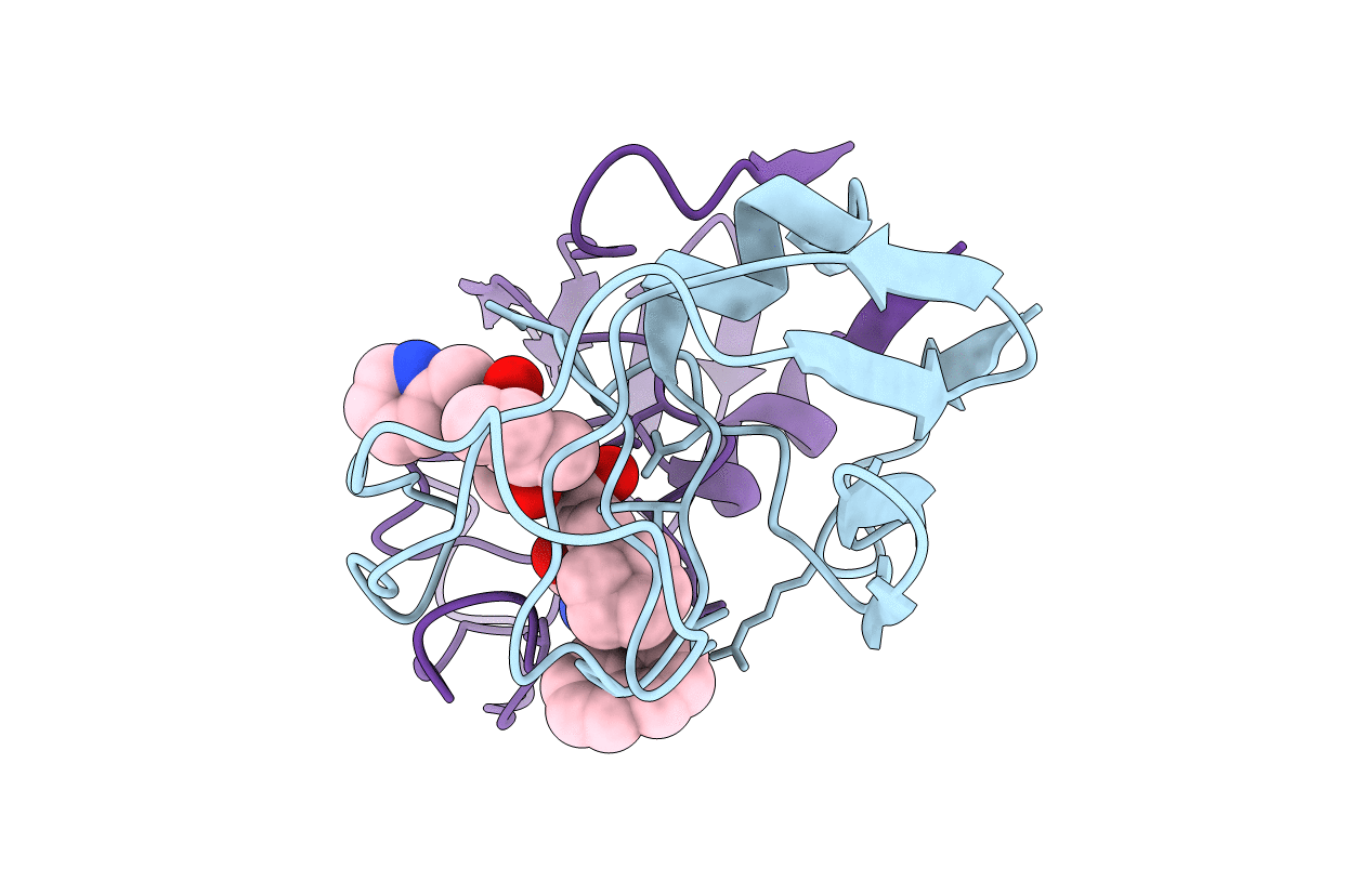 1IVP image