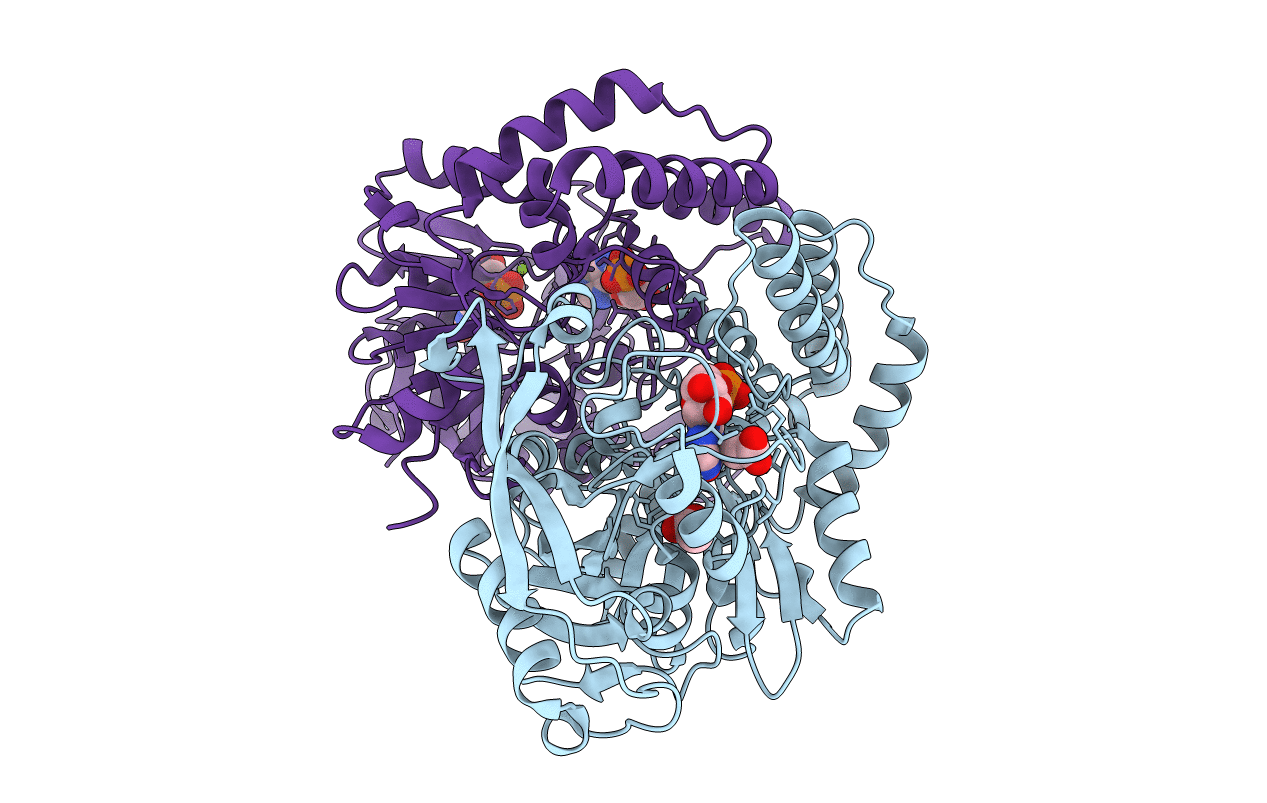 1IWE image