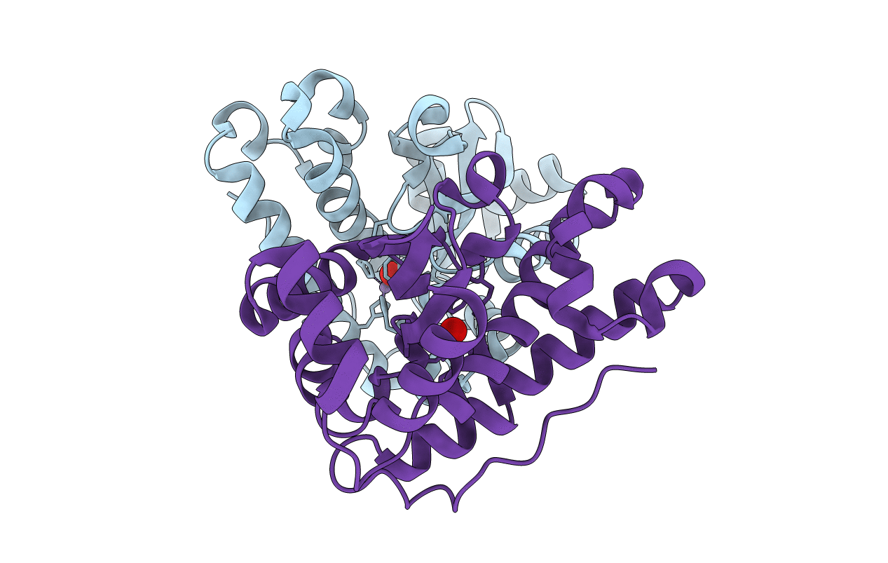 1IXB image