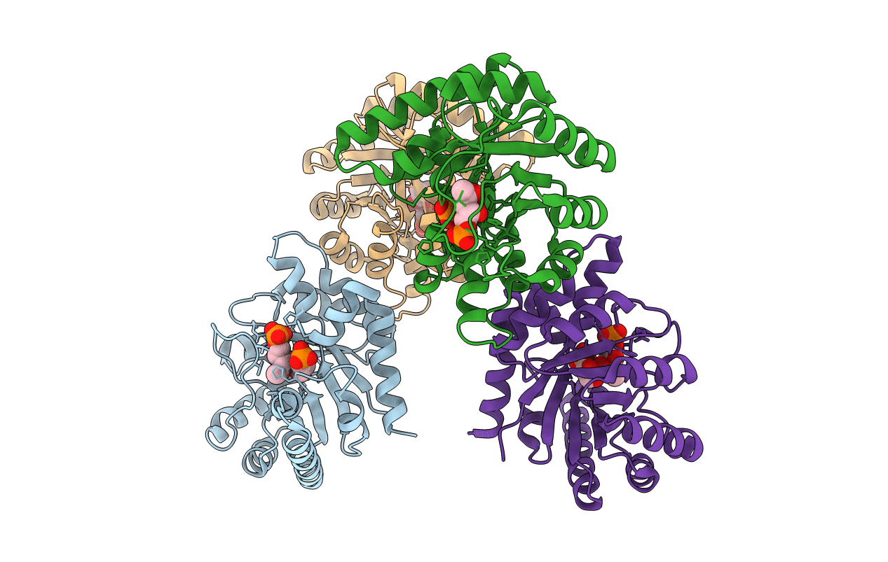 1IXN image