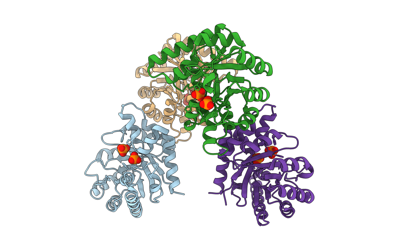 1IXP image