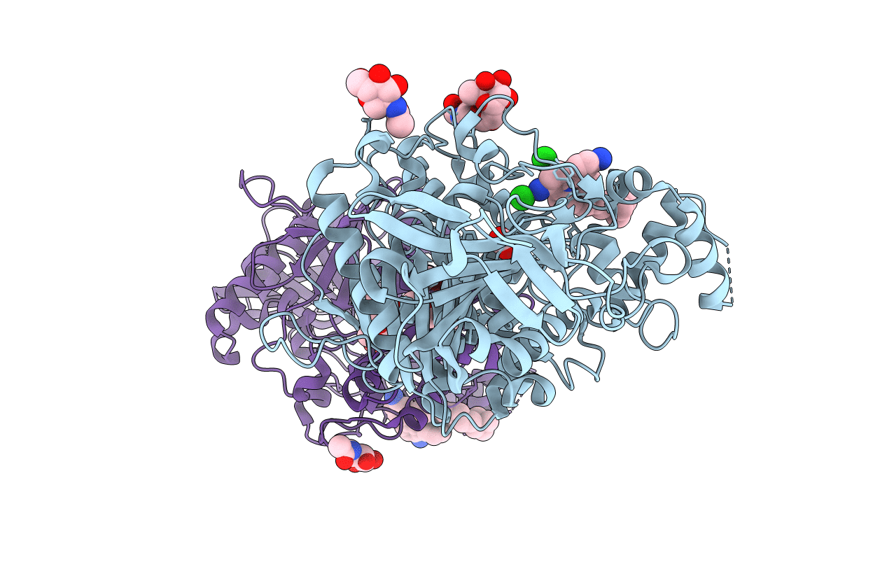 1J07 image