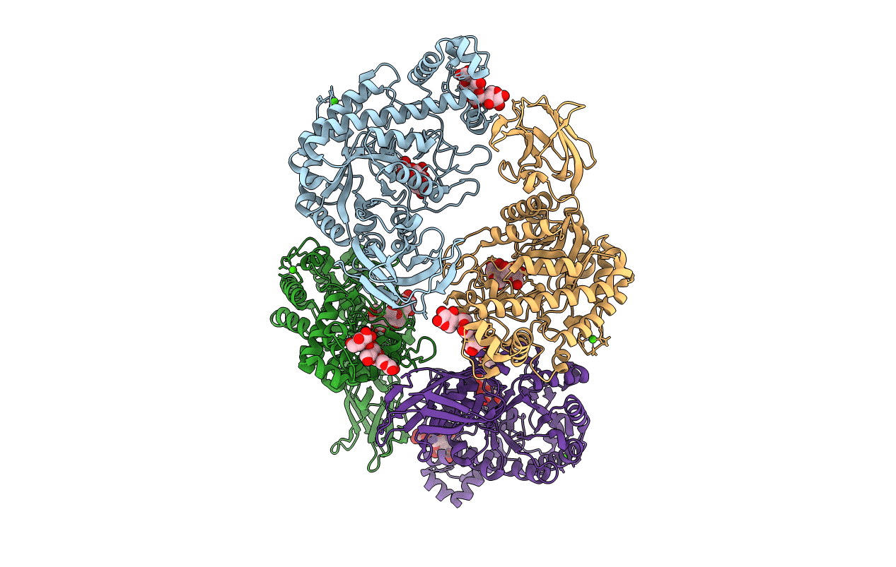 1J10 image