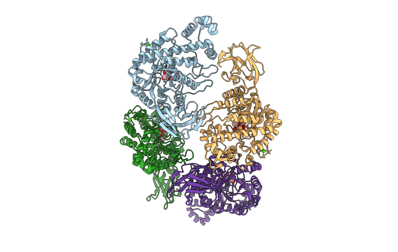 1J11 image