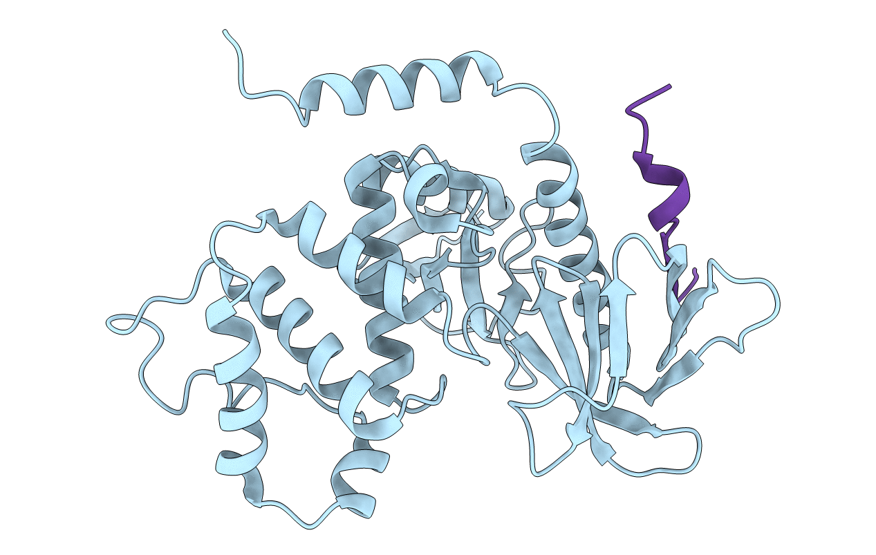 1J19 image