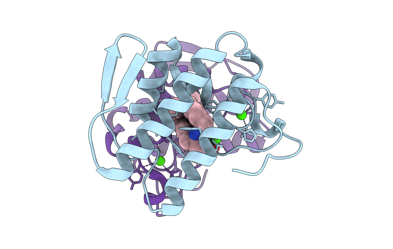 1J1A image