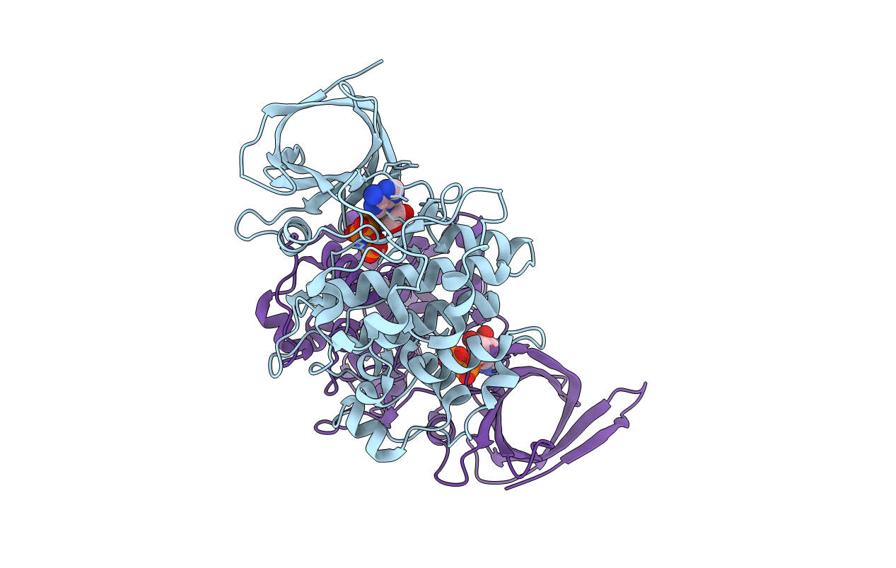 1J1B image
