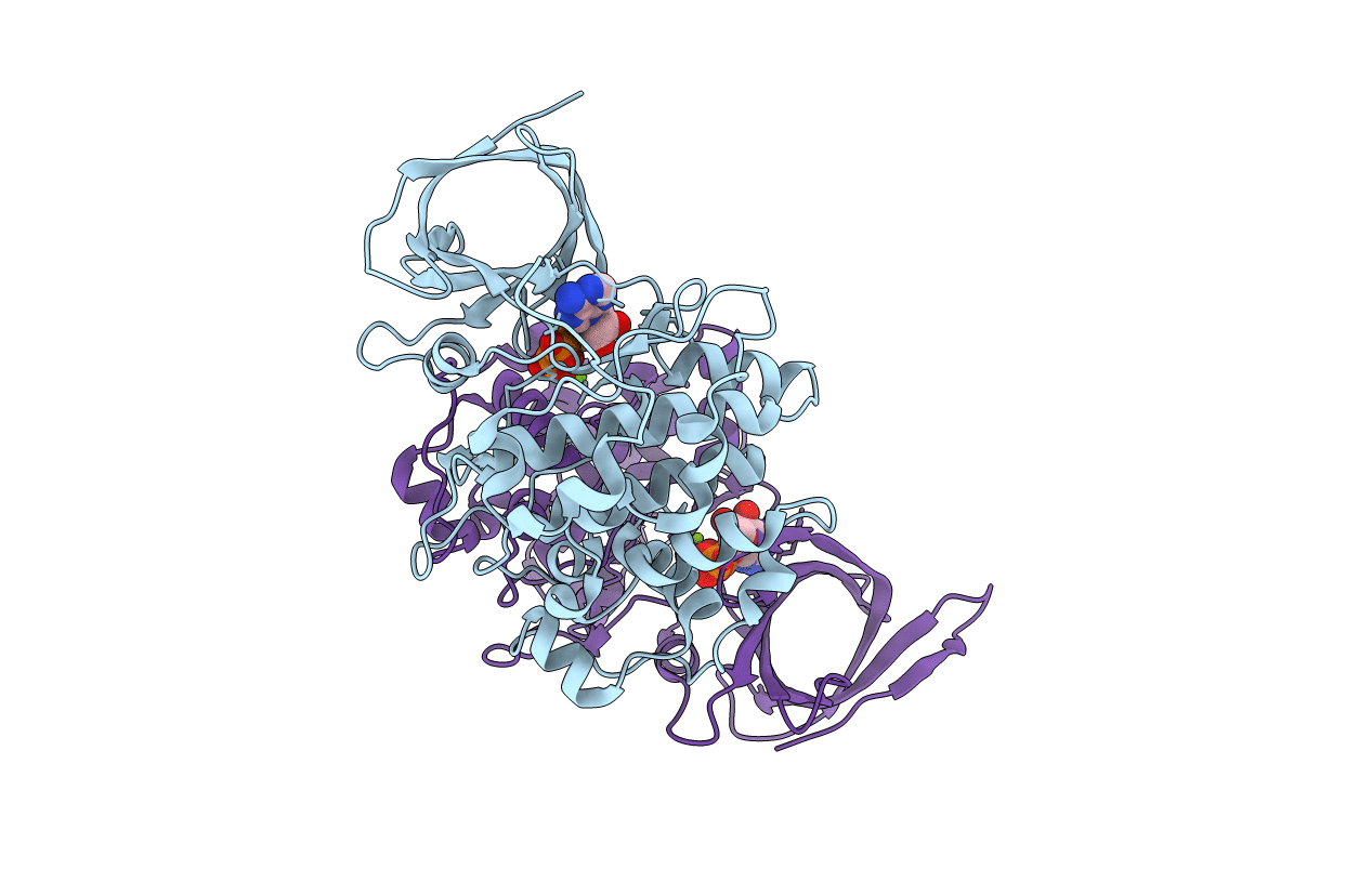 1J1C image