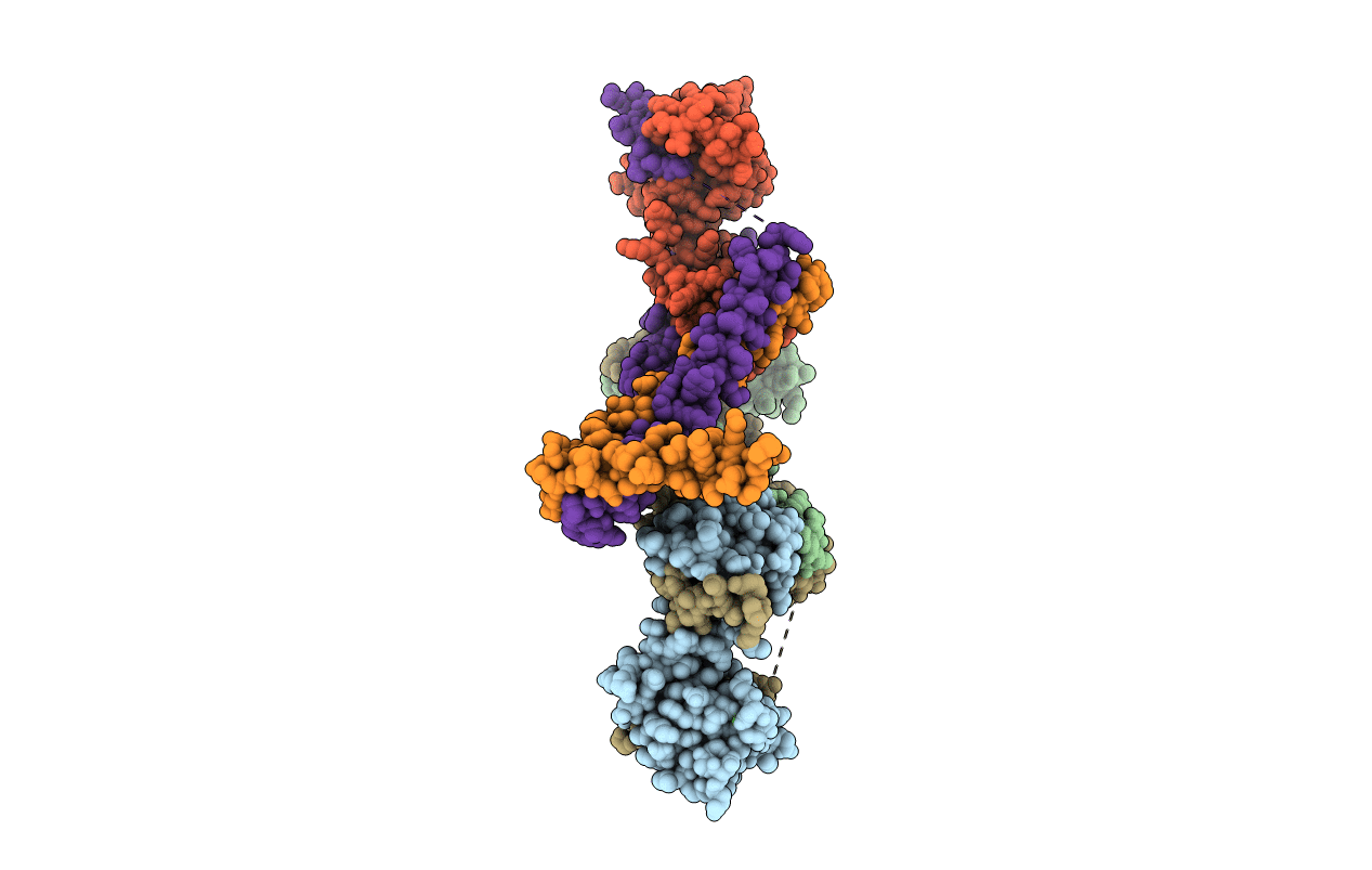 1J1D image
