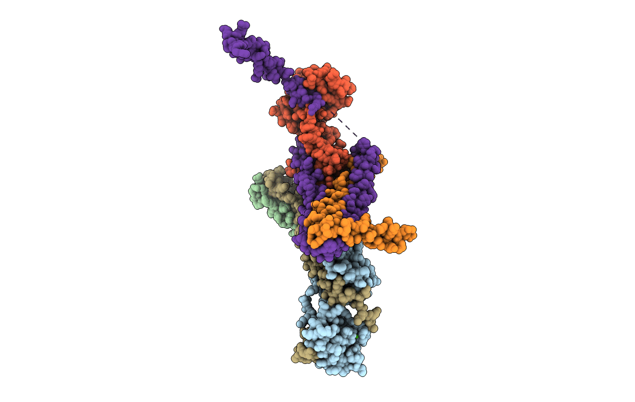 1J1E image
