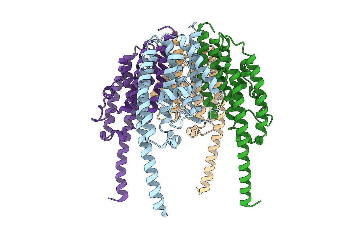 1J1J image