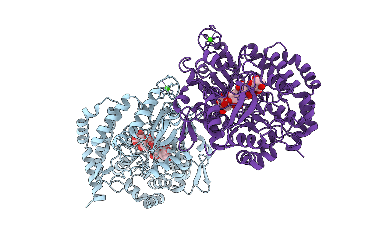 1J1N image