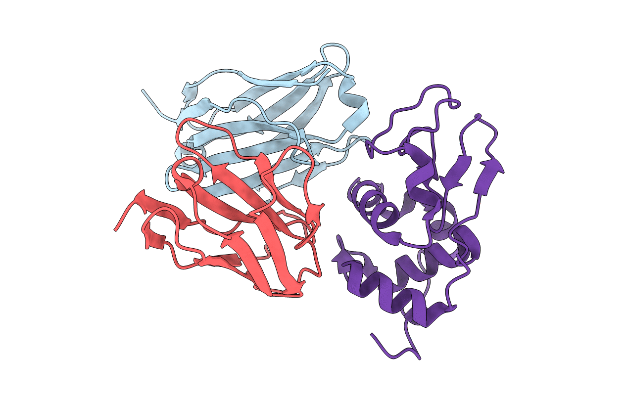 1J1X image