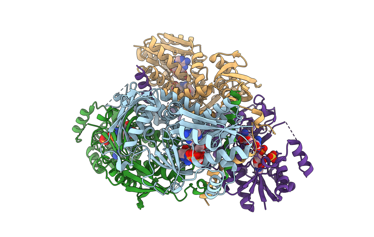 1J20 image
