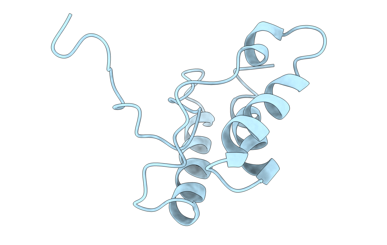 1J2M image