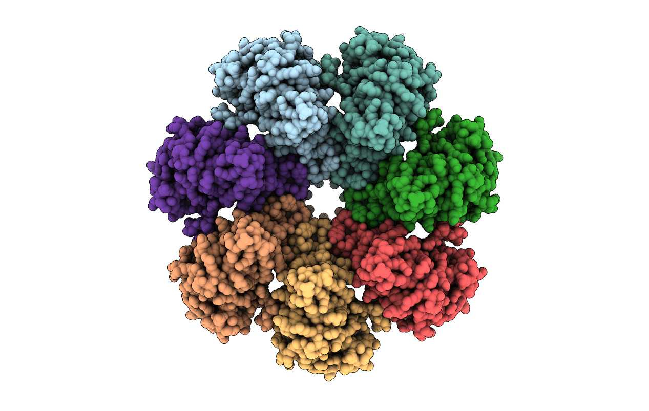 1J2P image