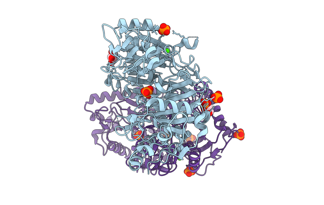 1J3B image