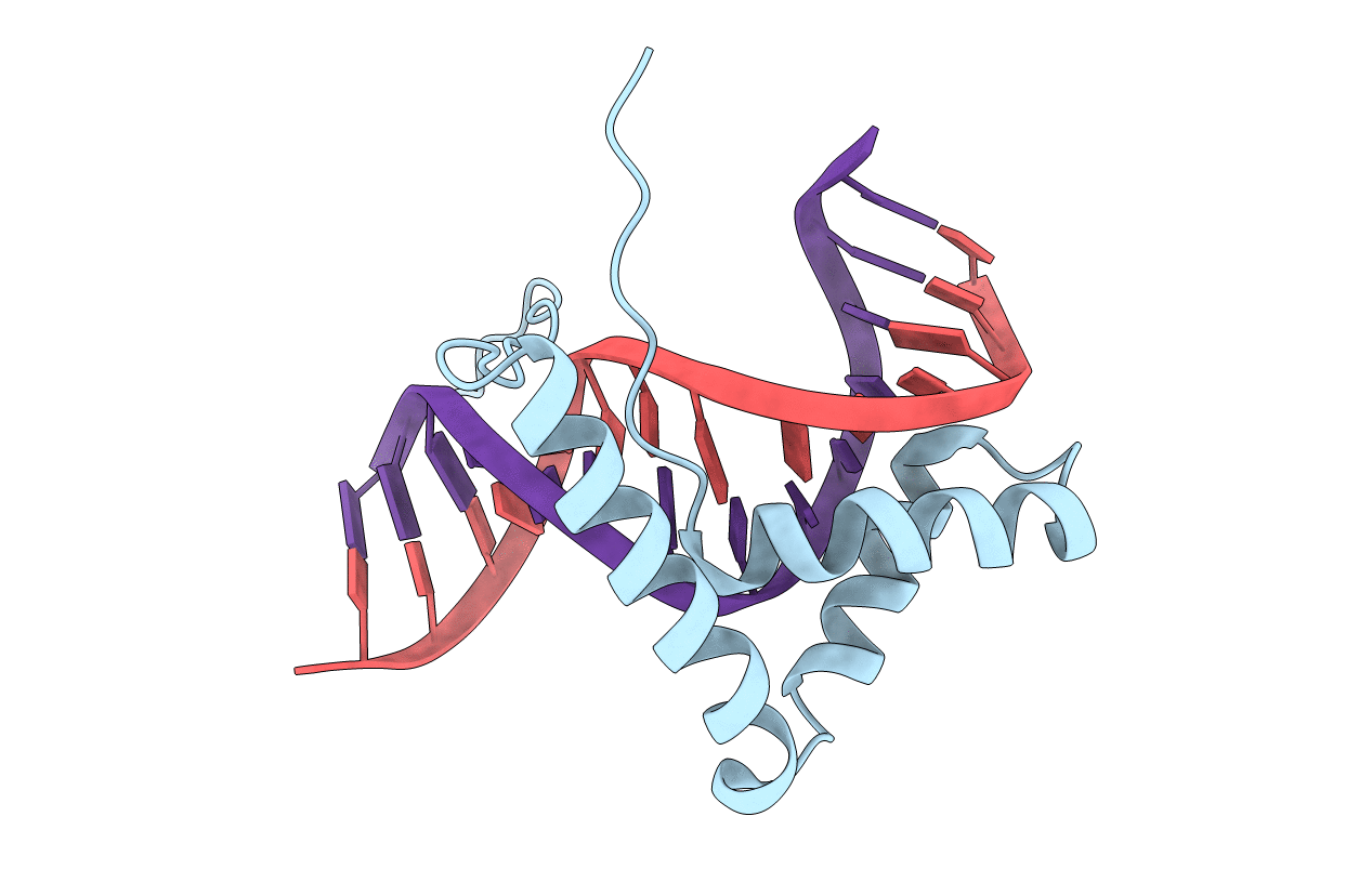 1J46 image