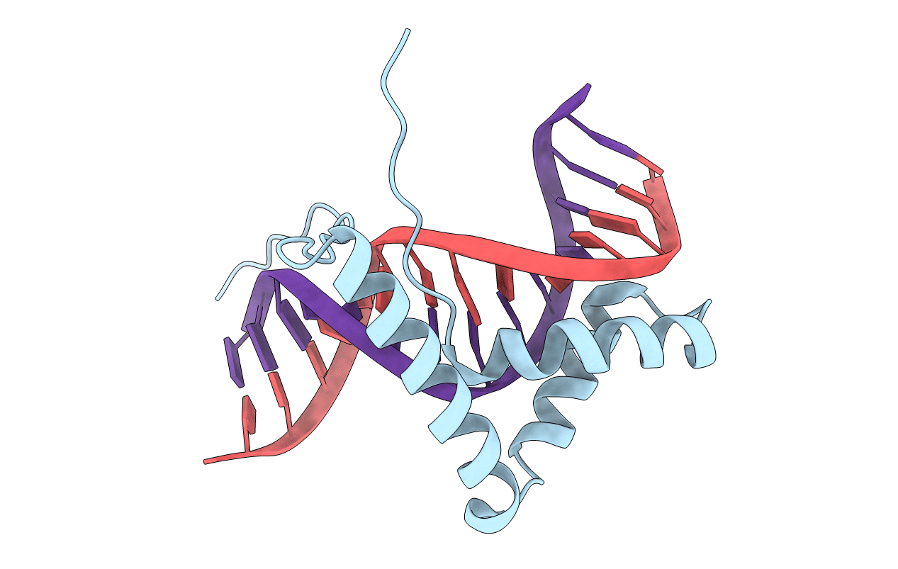 1J47 image