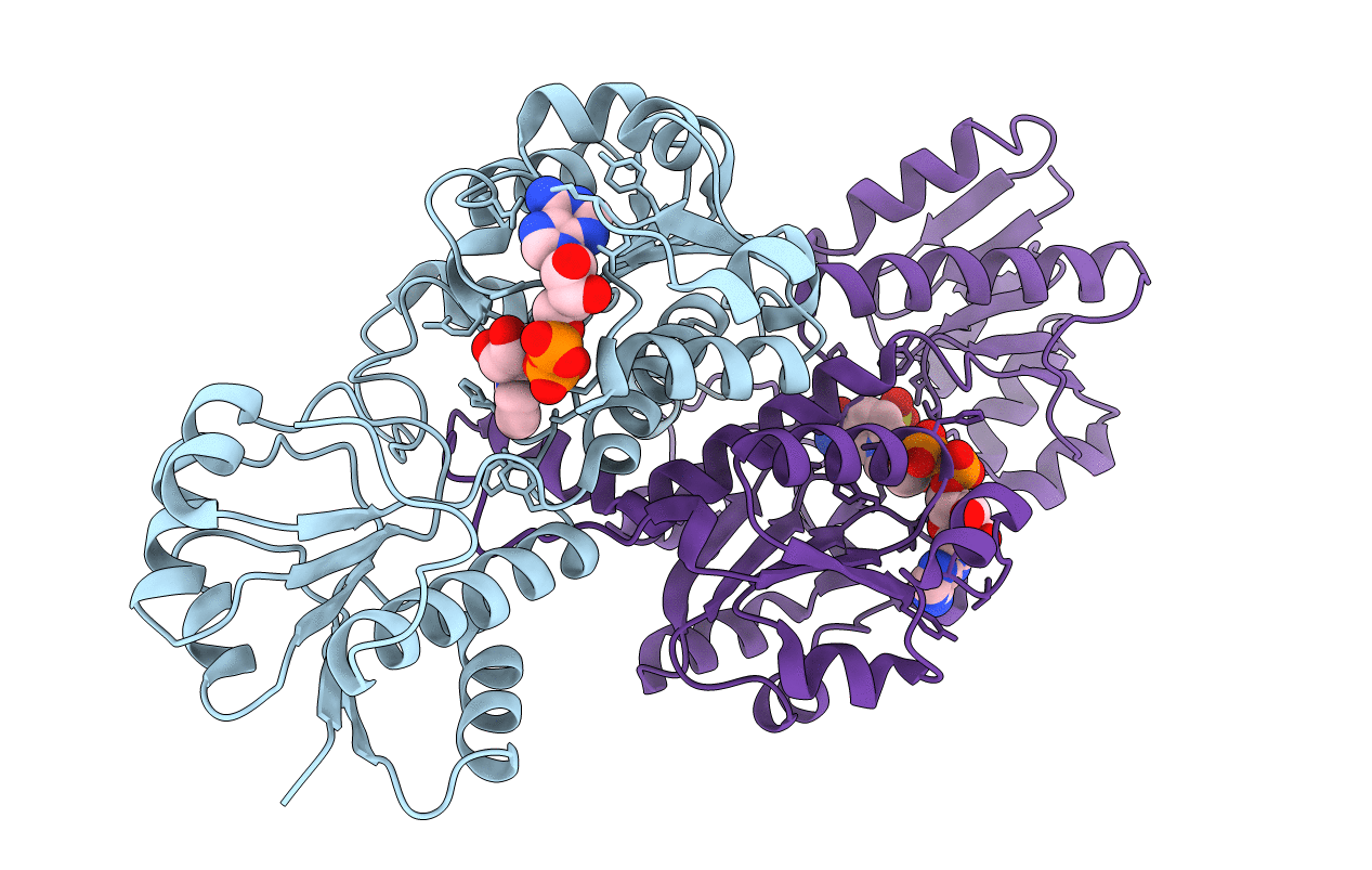 1J49 image