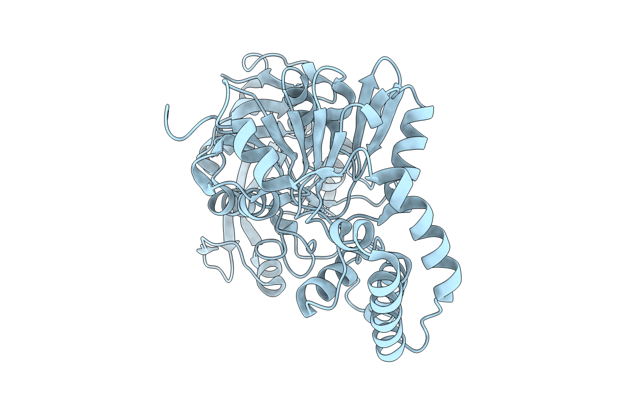 1J4B image